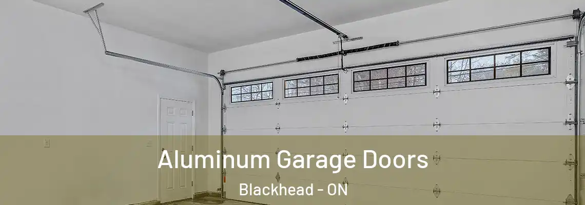 Aluminum Garage Doors Blackhead - ON