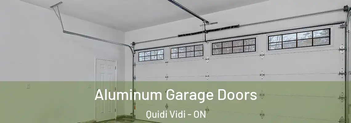 Aluminum Garage Doors Quidi Vidi - ON