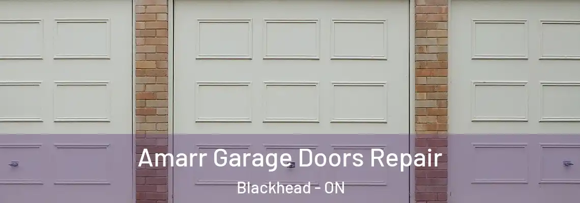 Amarr Garage Doors Repair Blackhead - ON