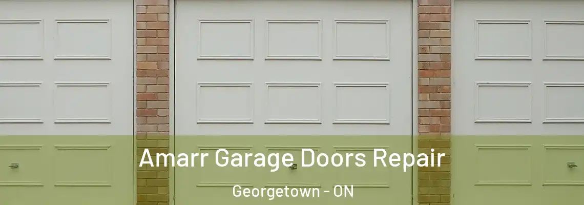 Amarr Garage Doors Repair Georgetown - ON