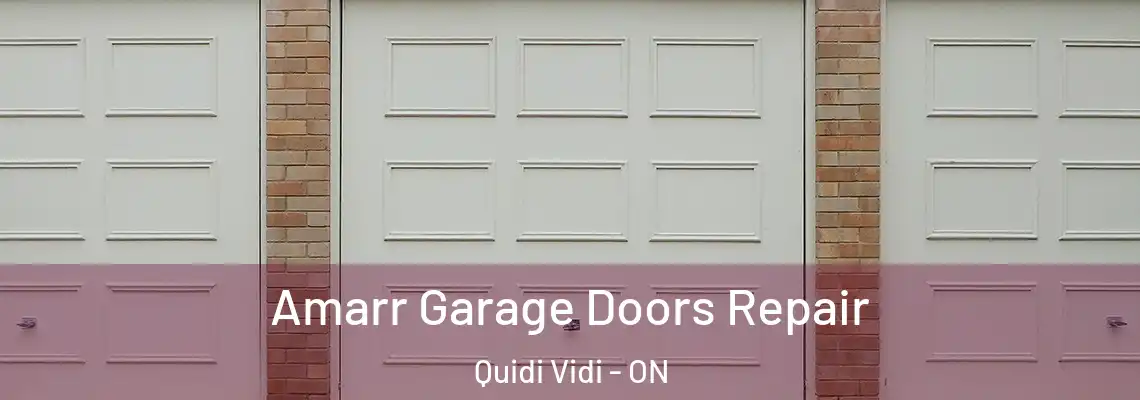 Amarr Garage Doors Repair Quidi Vidi - ON
