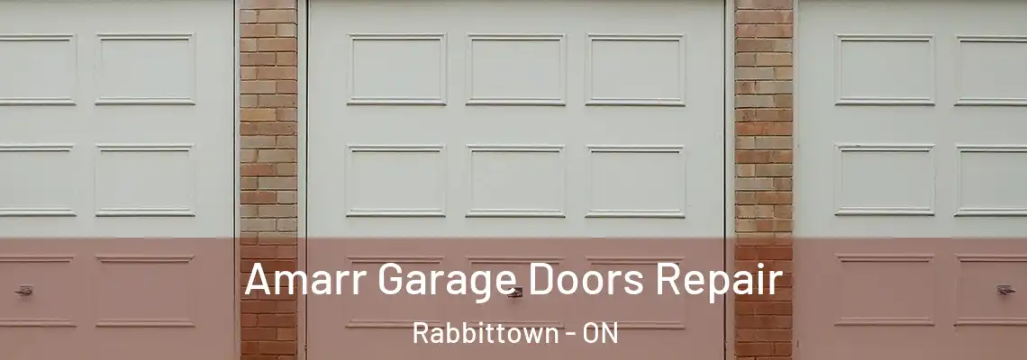 Amarr Garage Doors Repair Rabbittown - ON