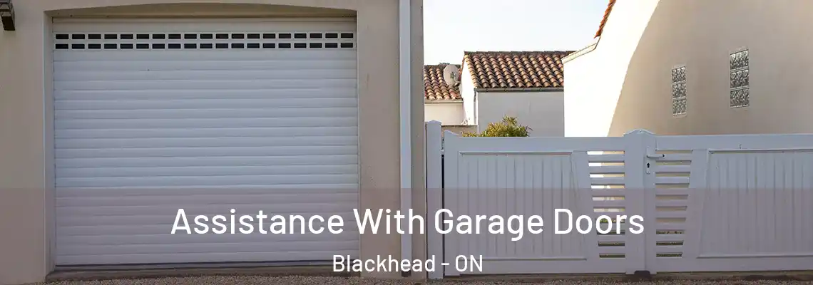 Assistance With Garage Doors Blackhead - ON