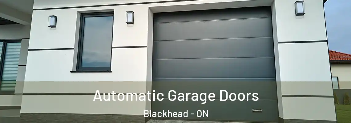 Automatic Garage Doors Blackhead - ON