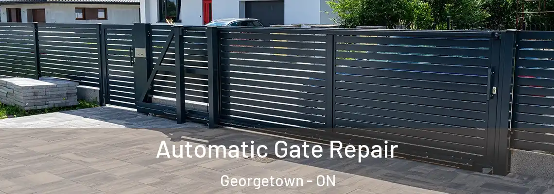 Automatic Gate Repair Georgetown - ON