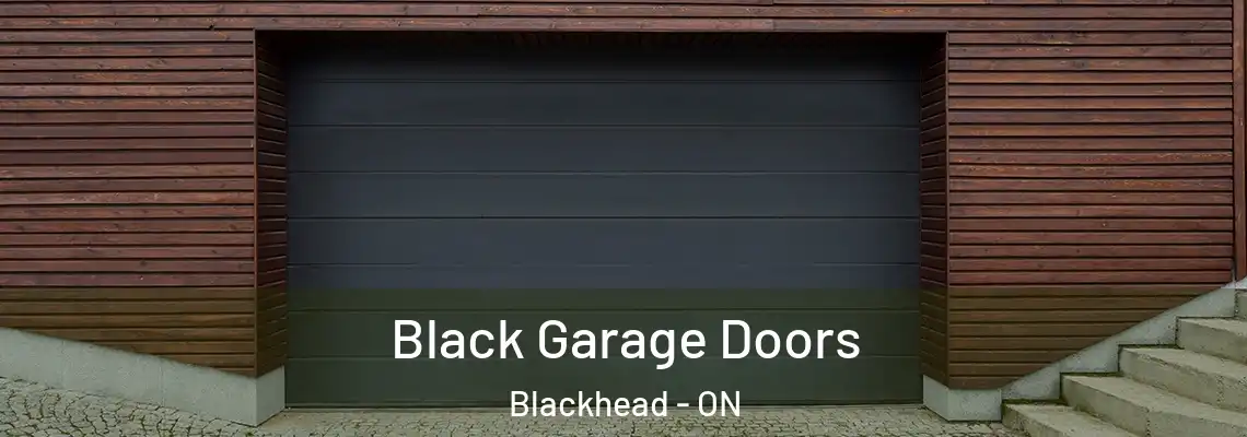 Black Garage Doors Blackhead - ON