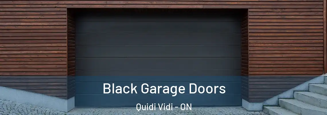 Black Garage Doors Quidi Vidi - ON