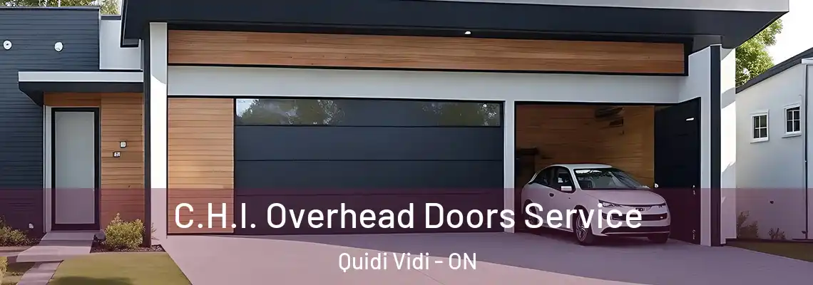 C.H.I. Overhead Doors Service Quidi Vidi - ON