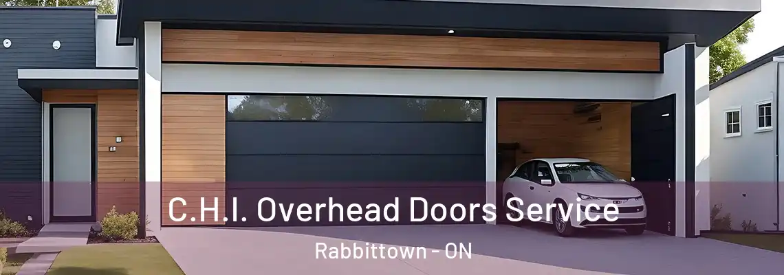 C.H.I. Overhead Doors Service Rabbittown - ON
