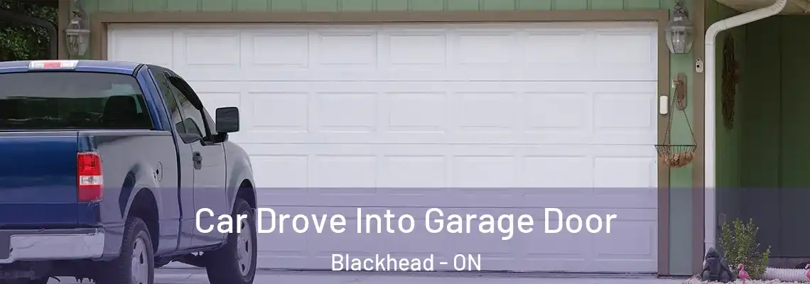 Car Drove Into Garage Door Blackhead - ON