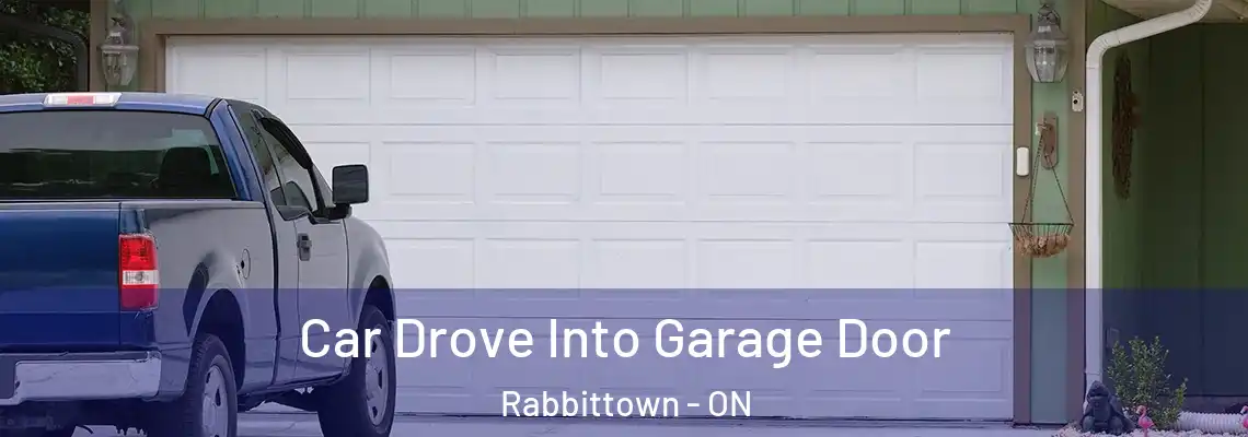Car Drove Into Garage Door Rabbittown - ON