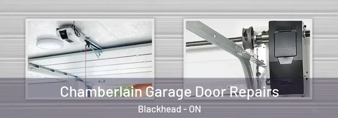 Chamberlain Garage Door Repairs Blackhead - ON