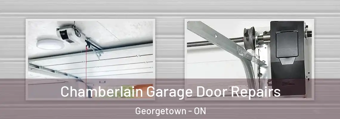 Chamberlain Garage Door Repairs Georgetown - ON
