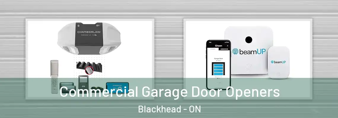 Commercial Garage Door Openers Blackhead - ON