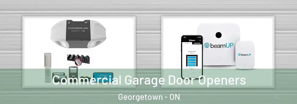 Commercial Garage Door Openers Georgetown - ON
