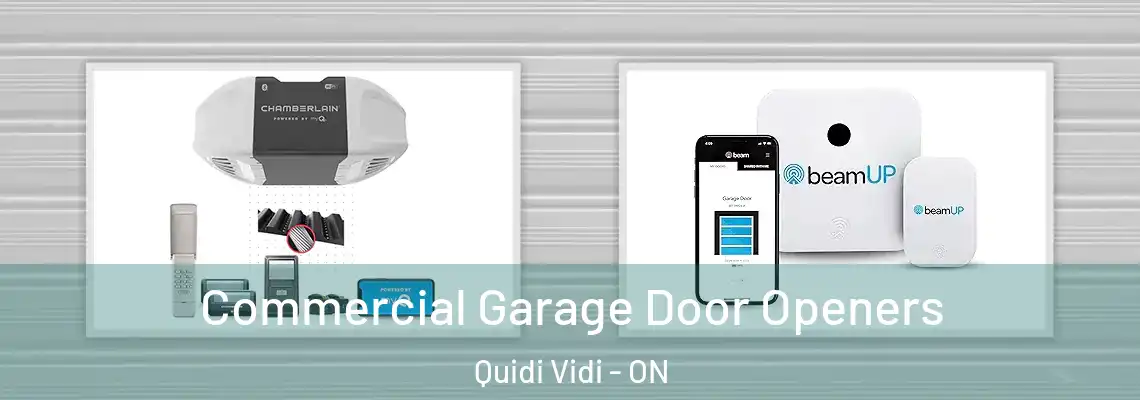 Commercial Garage Door Openers Quidi Vidi - ON