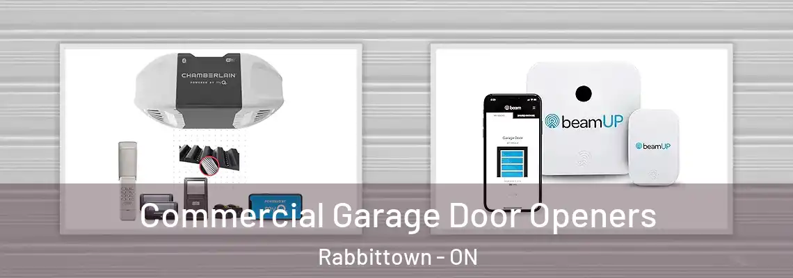 Commercial Garage Door Openers Rabbittown - ON