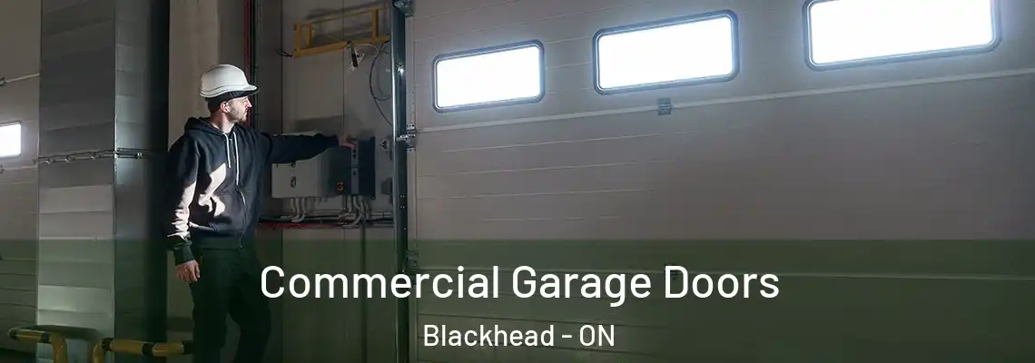 Commercial Garage Doors Blackhead - ON