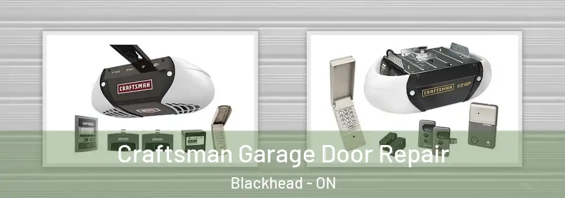 Craftsman Garage Door Repair Blackhead - ON