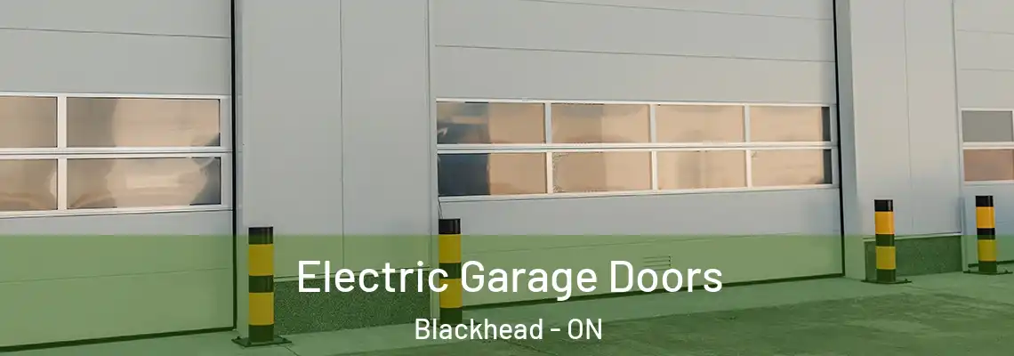 Electric Garage Doors Blackhead - ON