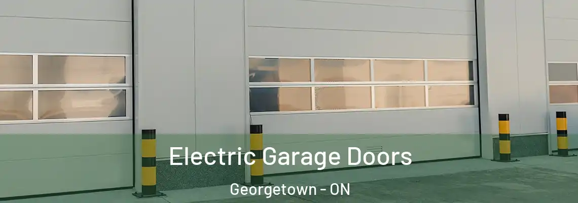 Electric Garage Doors Georgetown - ON