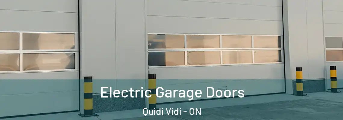 Electric Garage Doors Quidi Vidi - ON
