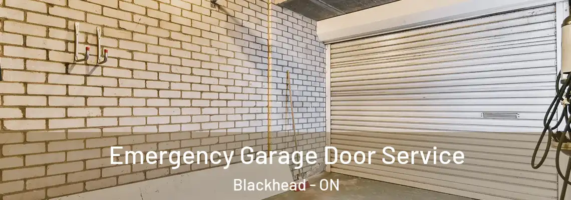 Emergency Garage Door Service Blackhead - ON
