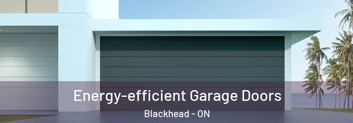 Energy-efficient Garage Doors Blackhead - ON