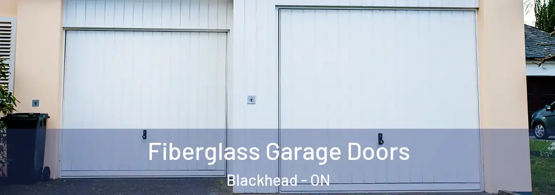 Fiberglass Garage Doors Blackhead - ON