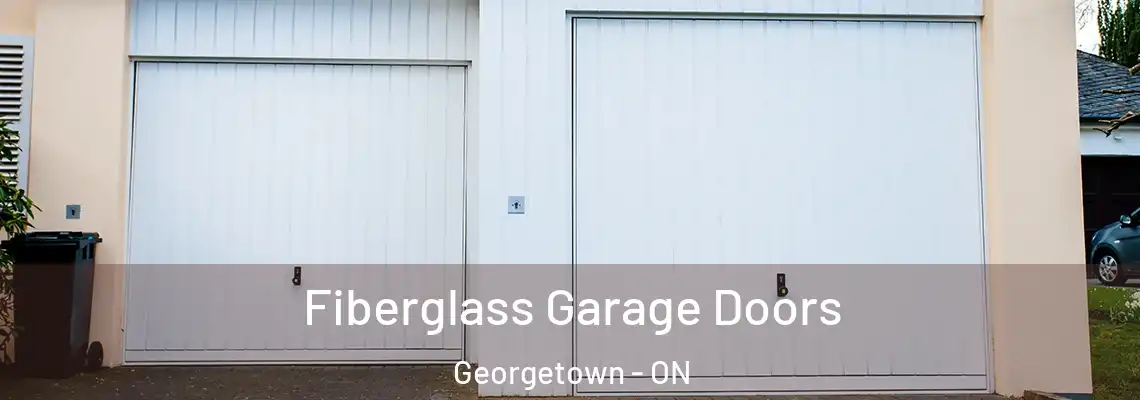 Fiberglass Garage Doors Georgetown - ON