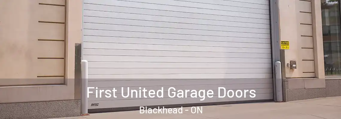 First United Garage Doors Blackhead - ON