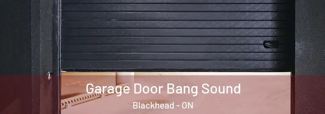 Garage Door Bang Sound Blackhead - ON