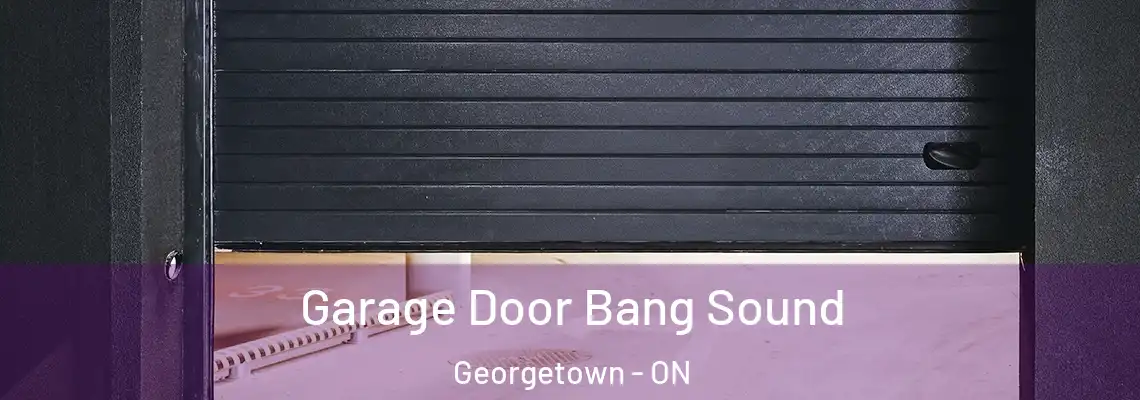 Garage Door Bang Sound Georgetown - ON