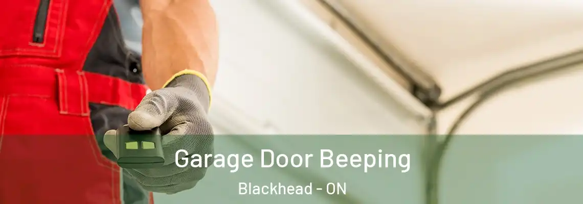 Garage Door Beeping Blackhead - ON