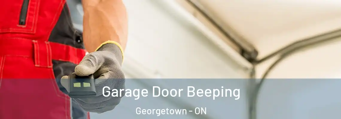 Garage Door Beeping Georgetown - ON