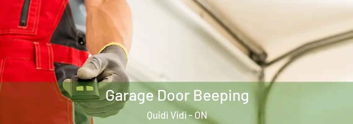 Garage Door Beeping Quidi Vidi - ON