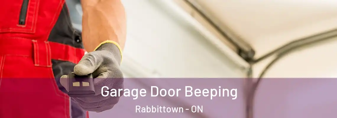 Garage Door Beeping Rabbittown - ON