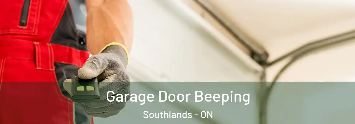 Garage Door Beeping Southlands - ON