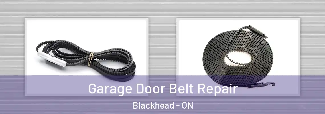 Garage Door Belt Repair Blackhead - ON