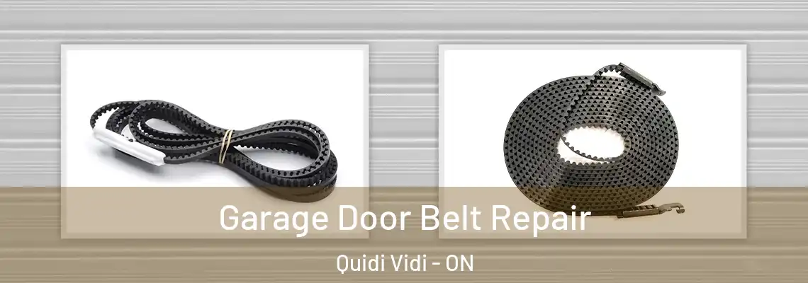 Garage Door Belt Repair Quidi Vidi - ON