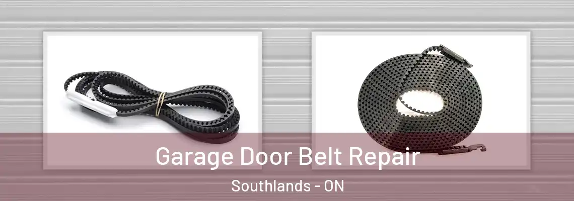 Garage Door Belt Repair Southlands - ON