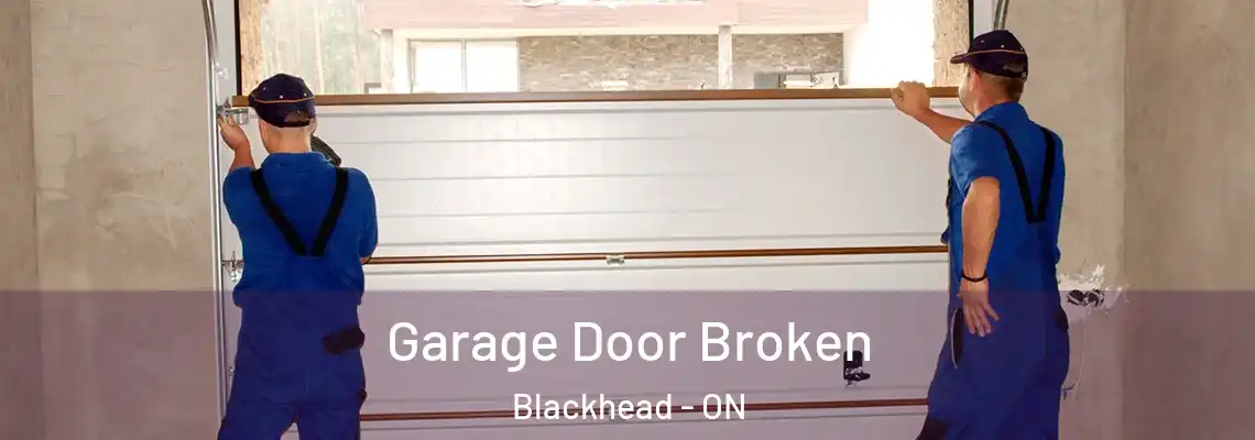 Garage Door Broken Blackhead - ON