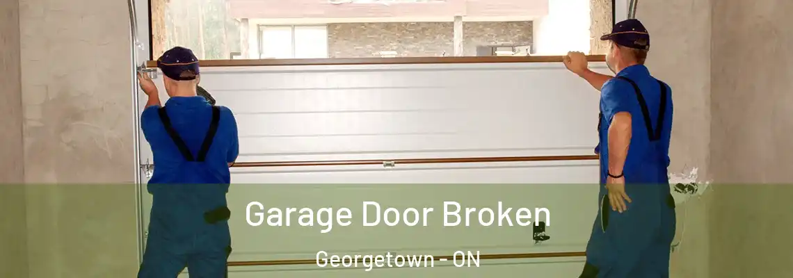 Garage Door Broken Georgetown - ON