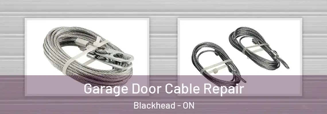 Garage Door Cable Repair Blackhead - ON