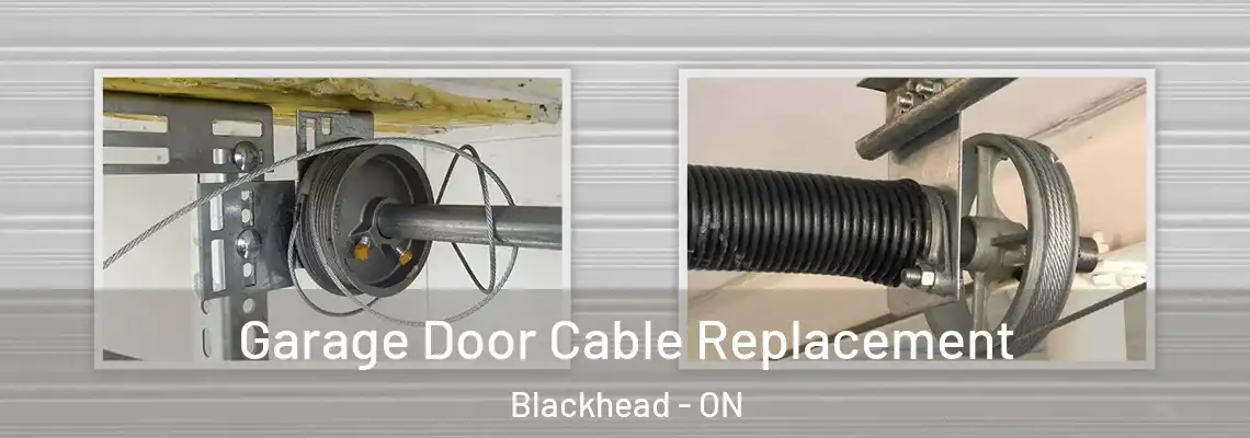 Garage Door Cable Replacement Blackhead - ON