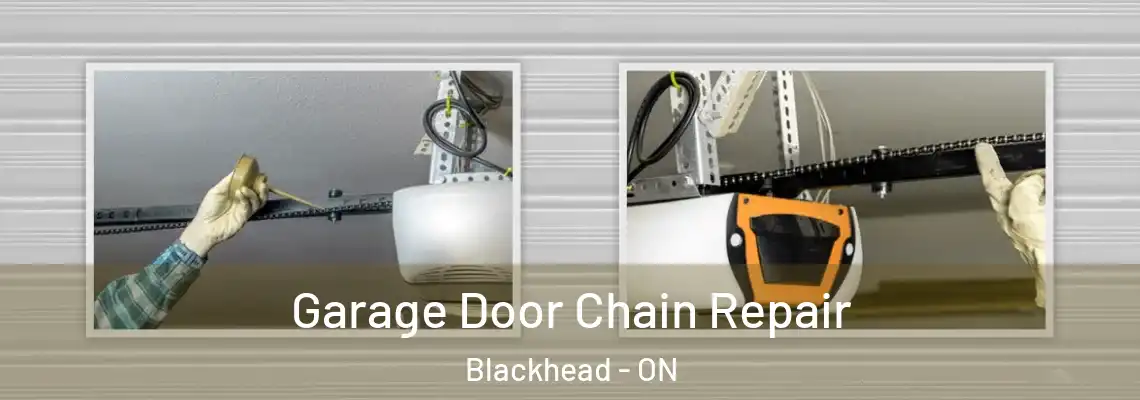 Garage Door Chain Repair Blackhead - ON