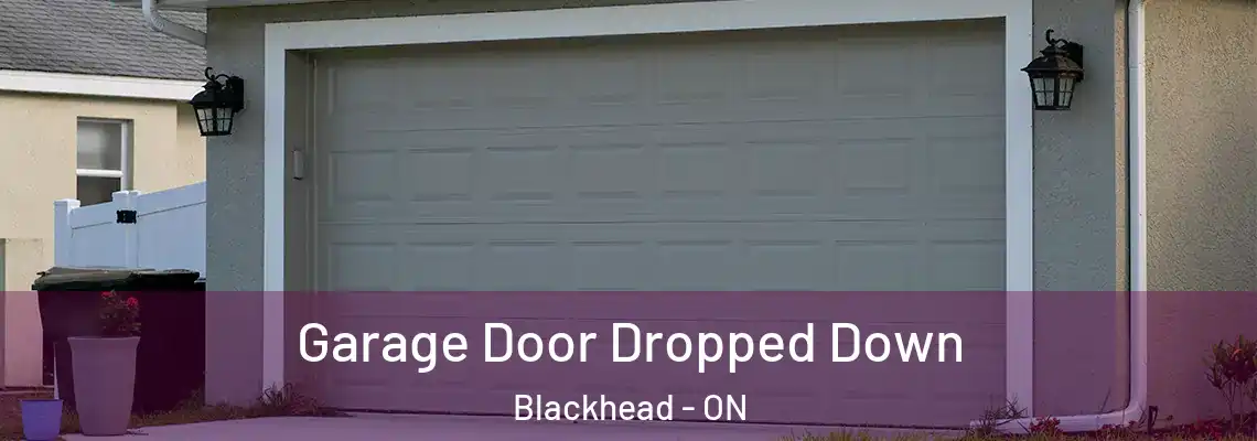Garage Door Dropped Down Blackhead - ON