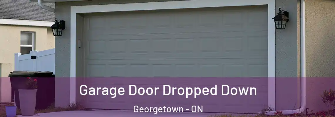Garage Door Dropped Down Georgetown - ON