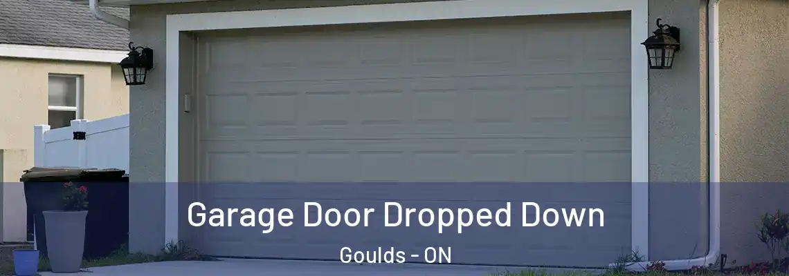 Garage Door Dropped Down Goulds - ON