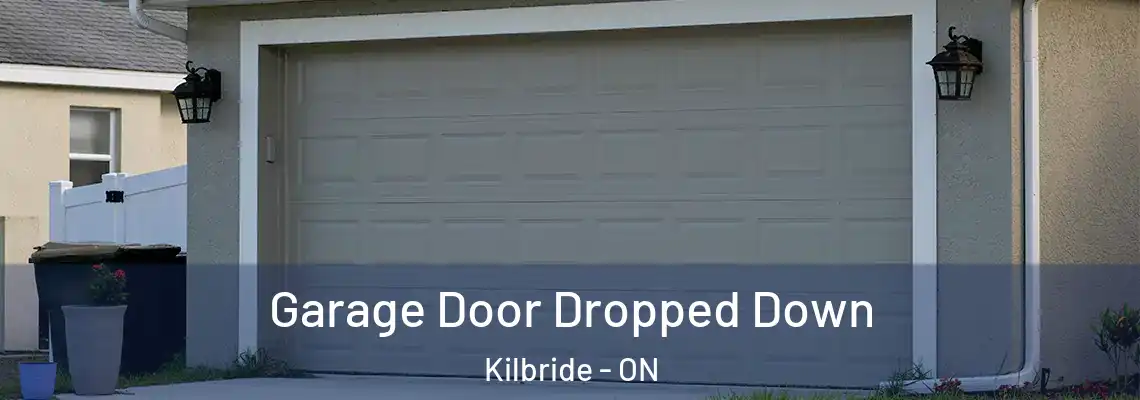 Garage Door Dropped Down Kilbride - ON